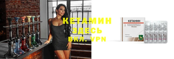 стаф Дмитриев
