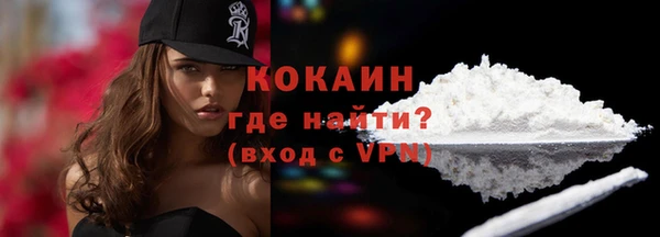 стаф Дмитриев