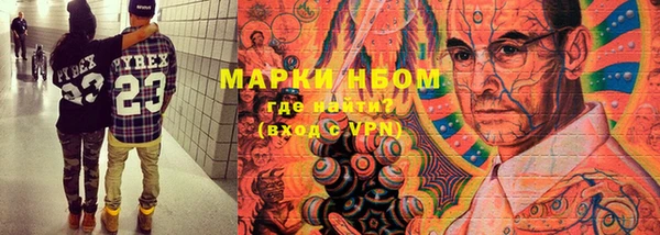стаф Дмитриев