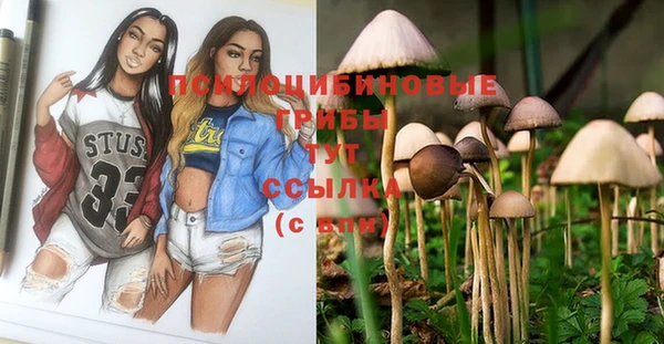 дмт Гусев
