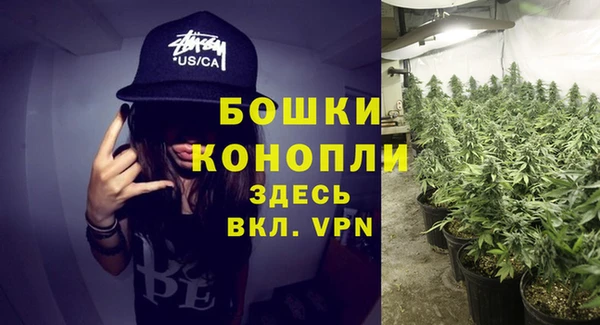 не бодяженный Гусиноозёрск