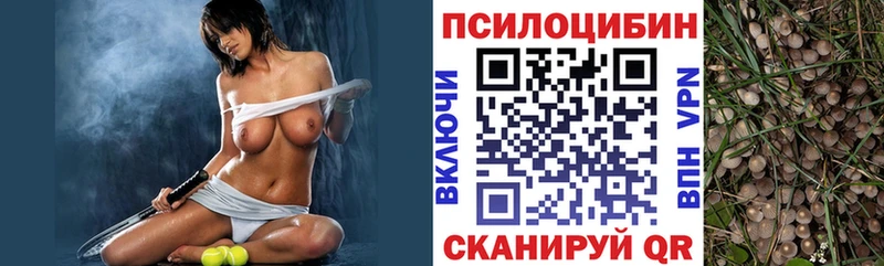 Купить закладки  Удачный  Галлюциногенные грибы Cubensis 